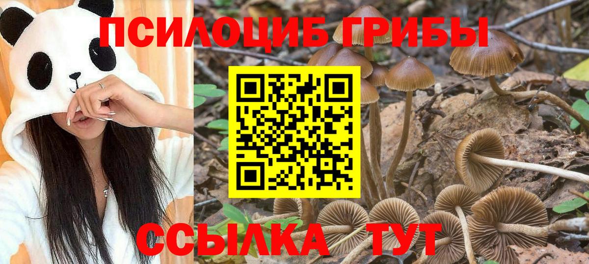 Гуково  Псилоцибиновые грибы ЛСД  Вход с VPN 